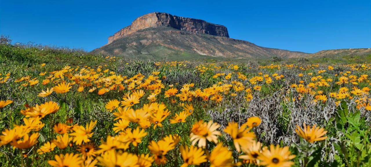 Mountain View Guesthouse Vanrhynsdorp Dış mekan fotoğraf