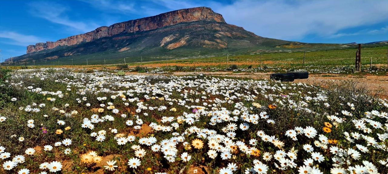 Mountain View Guesthouse Vanrhynsdorp Dış mekan fotoğraf